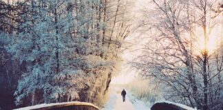 Co ile dni rest day?