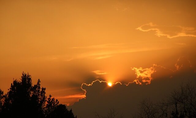 Jakie są metodyki agile?