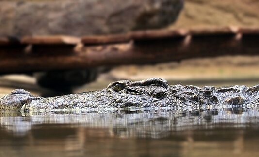 Jakie są zasady netykiety?