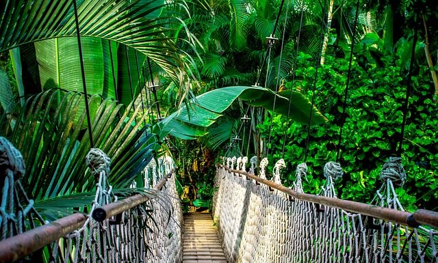 Jakie kursy dla project managera?