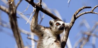 Z czego wynikają zachowania ryzykowne?