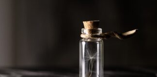 Co warto mieć w zapasie?