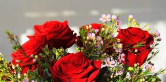 Ile kosztował najdroższy bitcoin?