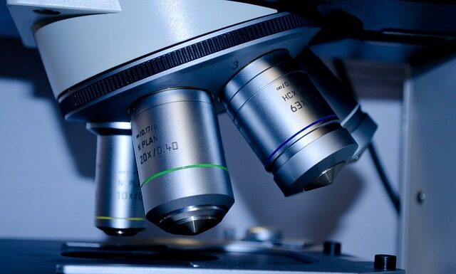 Co dają studia zarządzania?