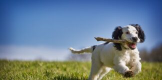 Jak odzyskać pieniądze z konta kryptowalut?