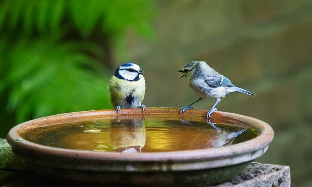 Kto pierwszy mówi dzień dobry?