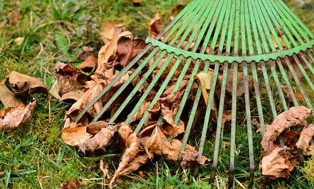 Jaka prowizja za zakup kryptowalut?