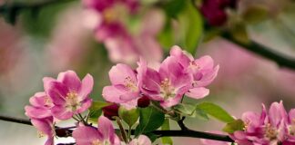 Co to jest nie fair?