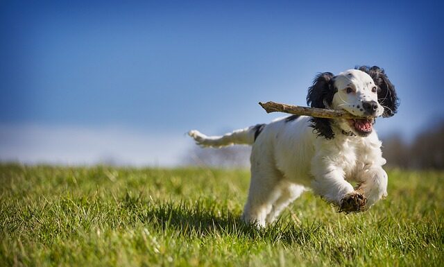 Jak odzyskać pieniądze z kryptowalut?