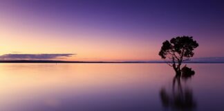 Jak zachować spokój w trudnych sytuacjach?