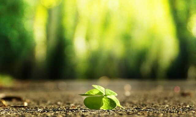 Czy w Polsce można znaleźć złoto?