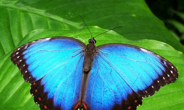 Jak zrobić wspólna relacje na ig?