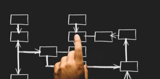 Jakie są działy w firmie?