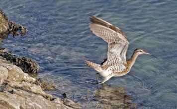 Jak sprawdzić na jakich zasadach się rozliczamy?