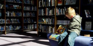 Czy wizerunek posła podlega ochronie?