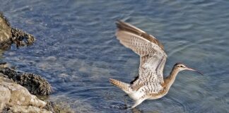 Kto rozlicza kryptowaluty?