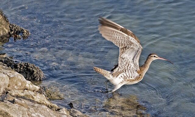 Kto rozlicza kryptowaluty?