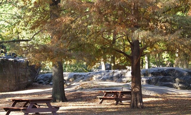 Ile razy rest day w tygodniu?