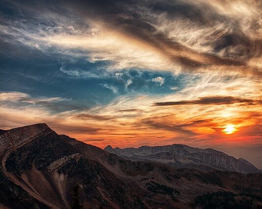 Ile ton złota zrabowali Niemcy?