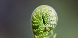 Kto kończy spotkanie?