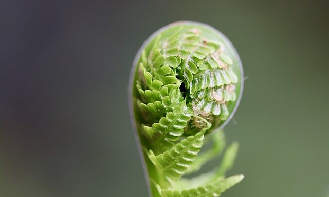 Kto kończy spotkanie?