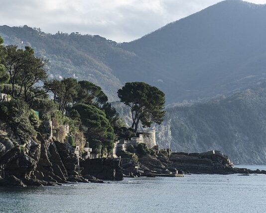 Ile kosztuje 10 tys Followersow?