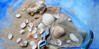 Ile razy w tygodniu ćwiczyć poszczególne partie mięśni?