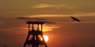 Czy można dźwigać jak się ma przepuklinę?