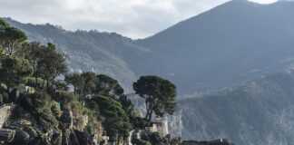 Ile kosztuje jedna setna bitcoina?