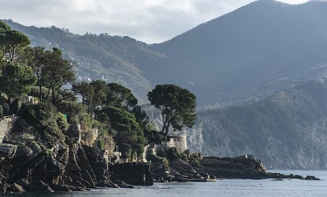 Ile kosztuje wyplata z Binance?