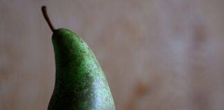 Czym są sankcje gospodarcze?