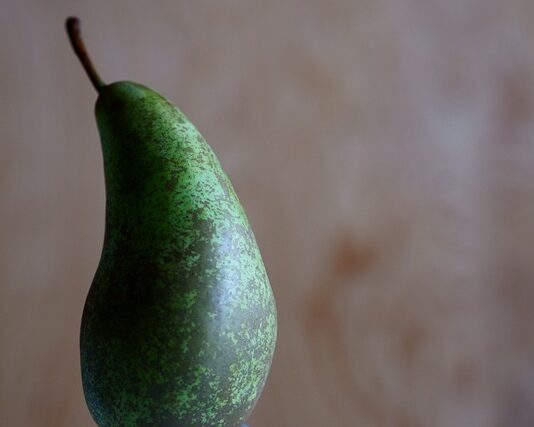 Czym są sankcje gospodarcze?