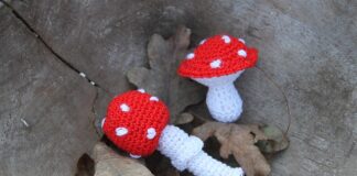 Kto nakłada grzywnę na pracodawcę?