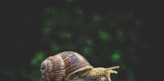 Do czego służy MS Project?