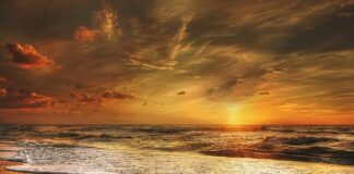 Ile zarabia się na zlocie?