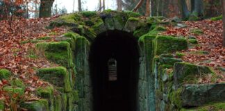 Co powinna zawierać instrukcja zarządzania systemem informatycznym?