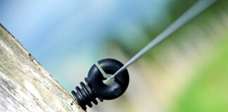 Ile Polaków inwestuję w kryptowaluty?