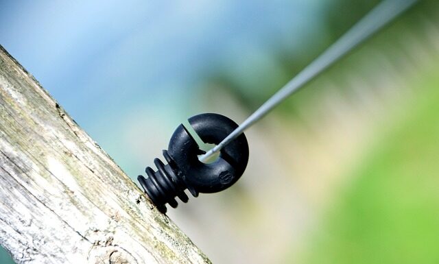 Ile Polaków inwestuję w kryptowaluty?