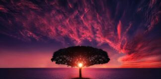 Jak włączyć chmurę na telefonie?