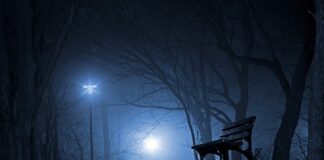 Kto wyzwolił Polskę w 1945 roku?