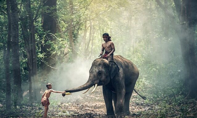 Co to znaczy zachowywać się kulturalnie?