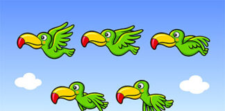 Czy produkcja animacji to wideo